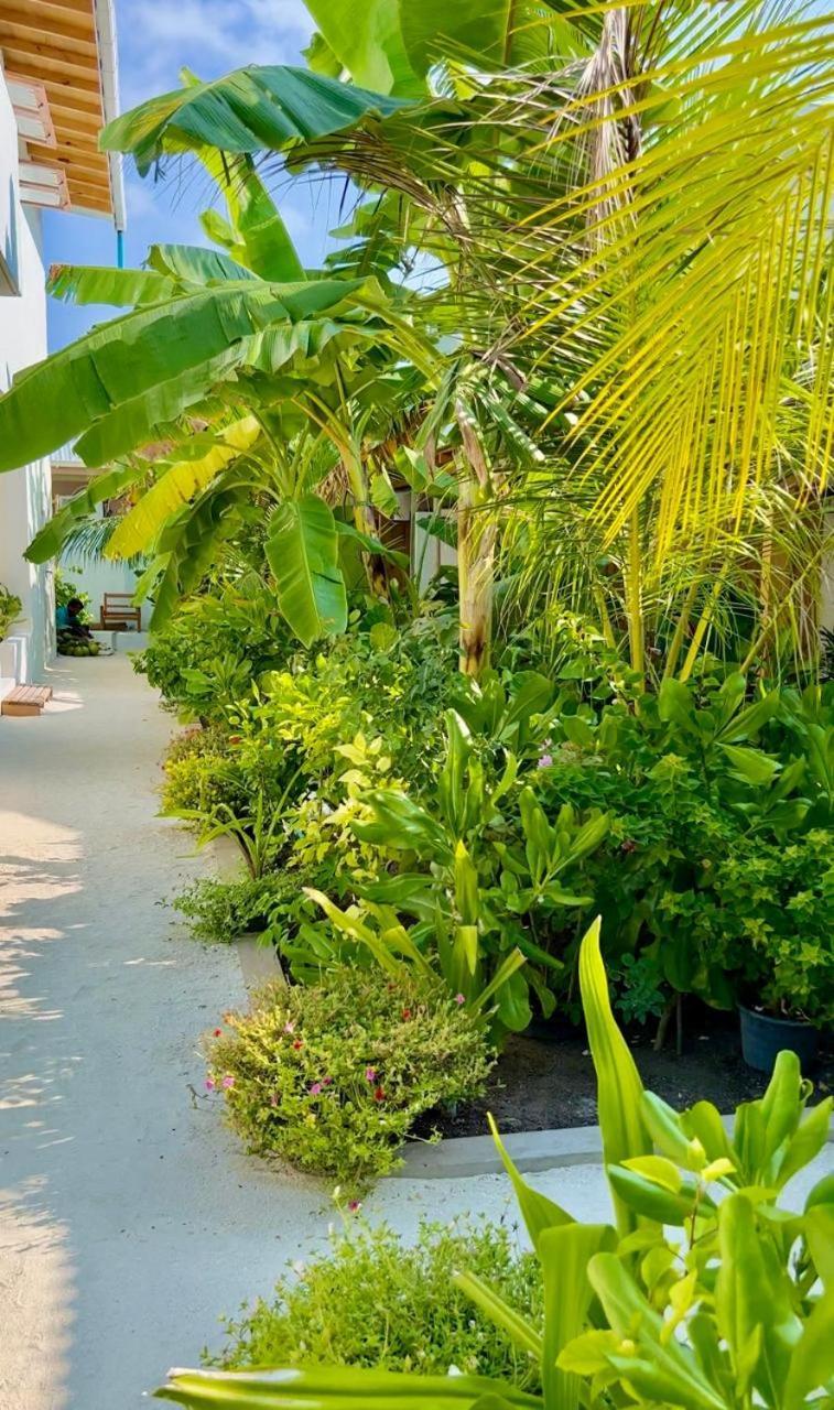 Seaside Dhigurah Hotel Digura Kültér fotó
